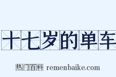 十七岁的单车是什么意思的图片